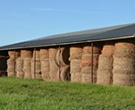 Hay Stacks